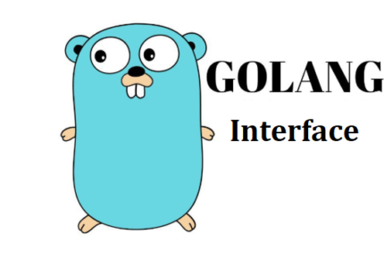 interface in go